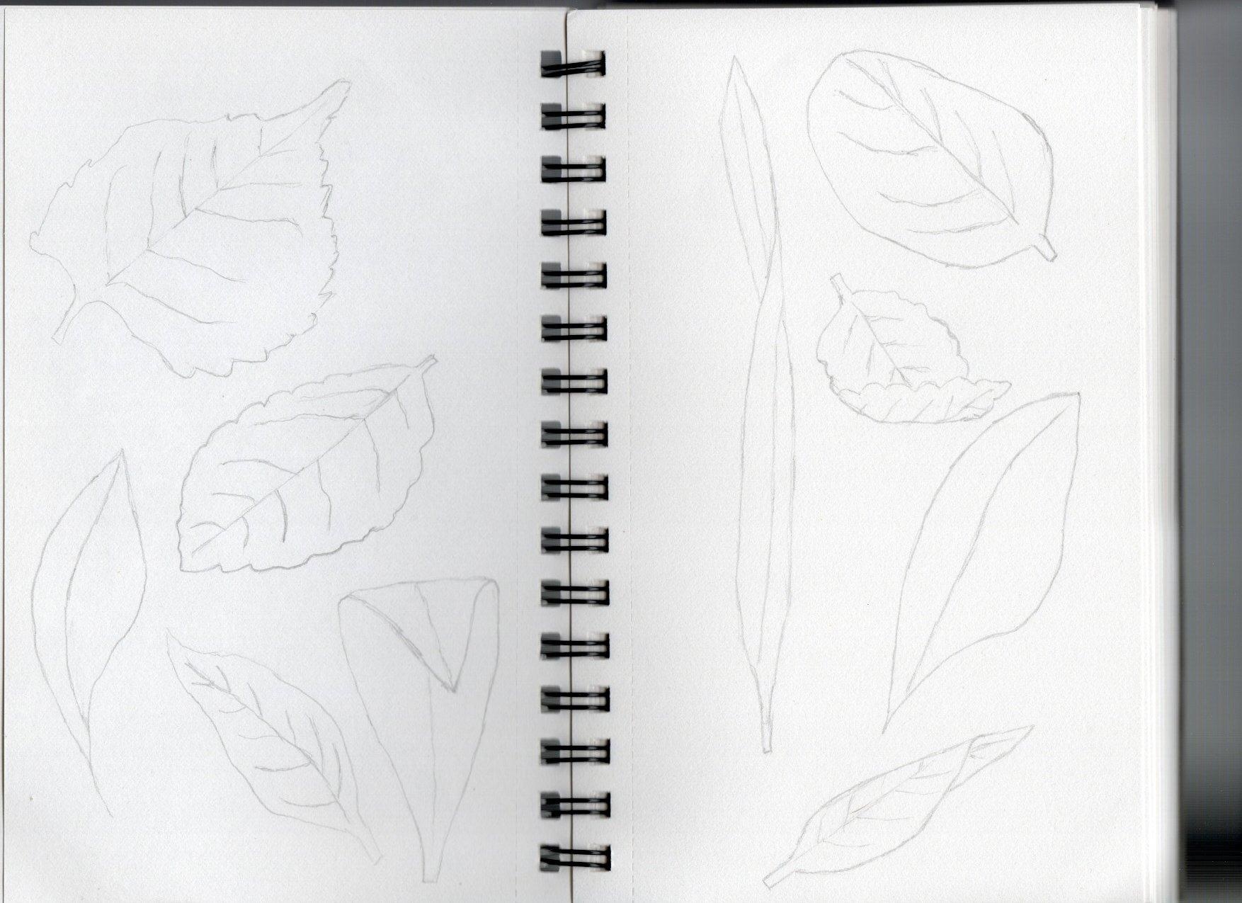Leaves - student project