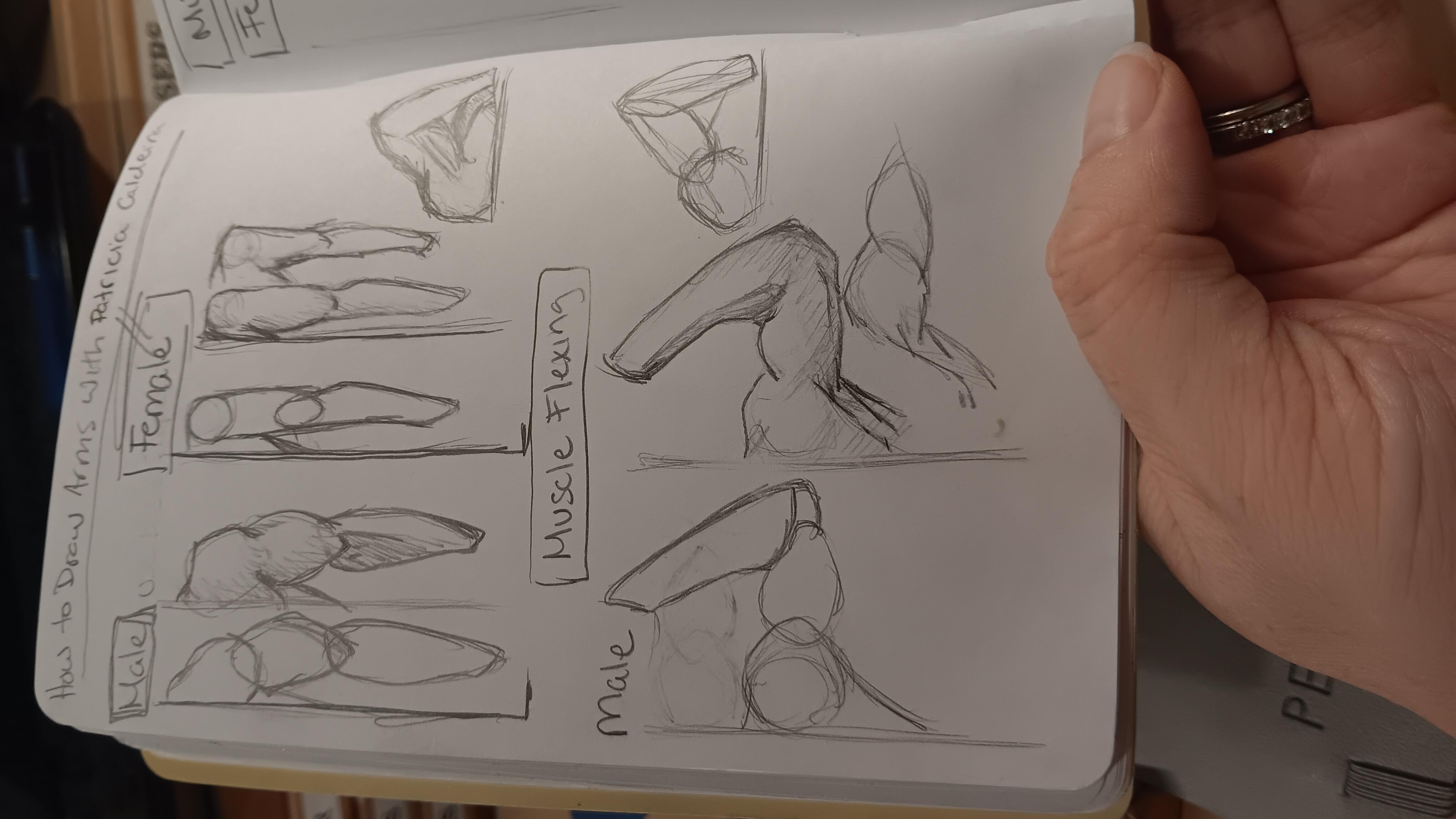 more-projects-from-class-img