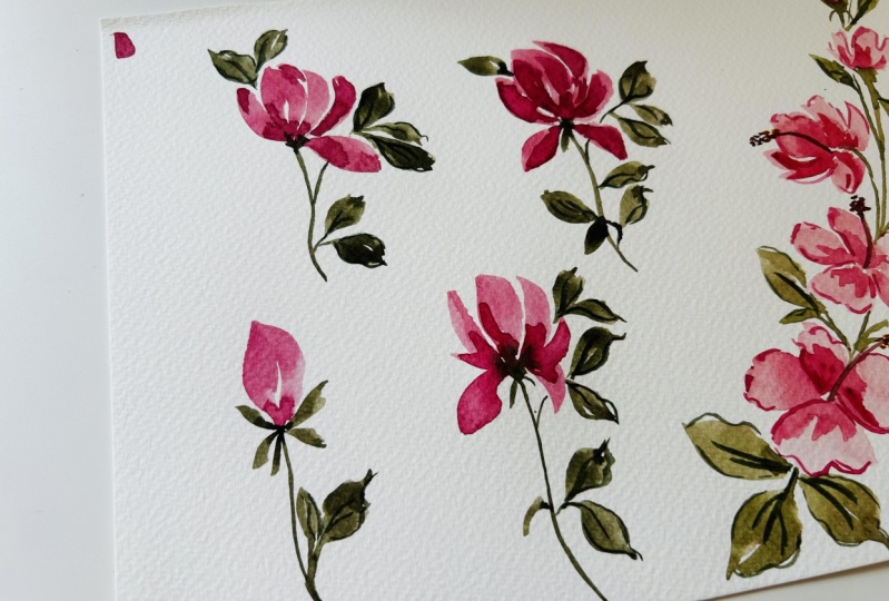 Magnolia flower