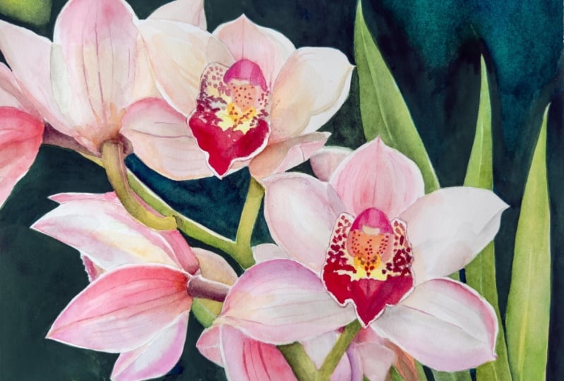 Elegant Orchids