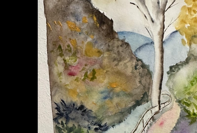 Landscape