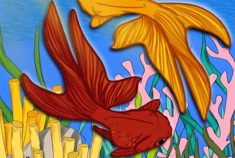 My underwater world
