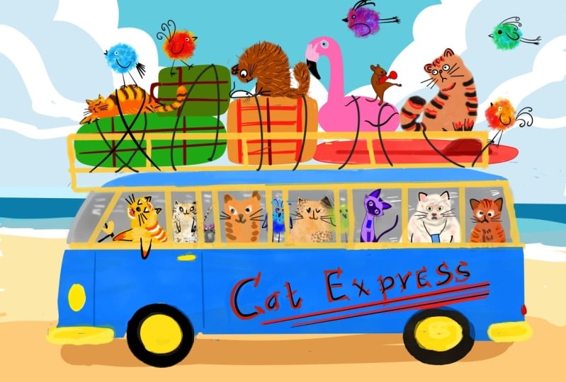 Cat express to the beach!