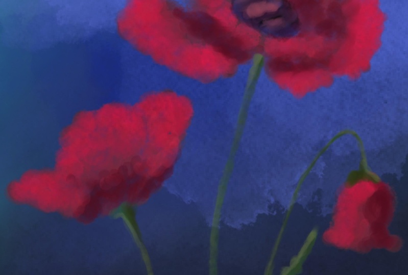 My Sunflower and Poppies