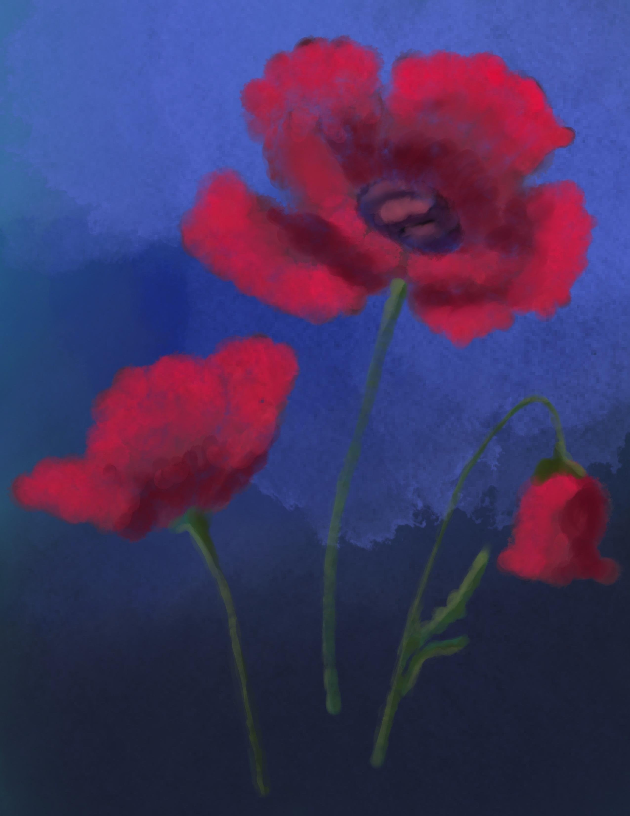 more-projects-from-class-img