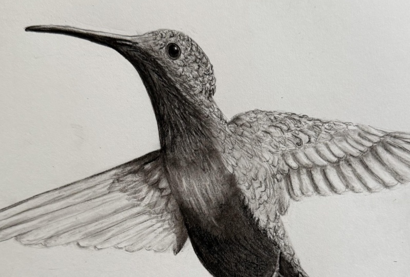 Birdie