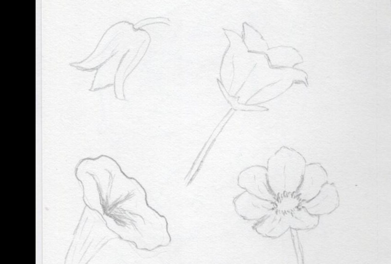 Flower practice