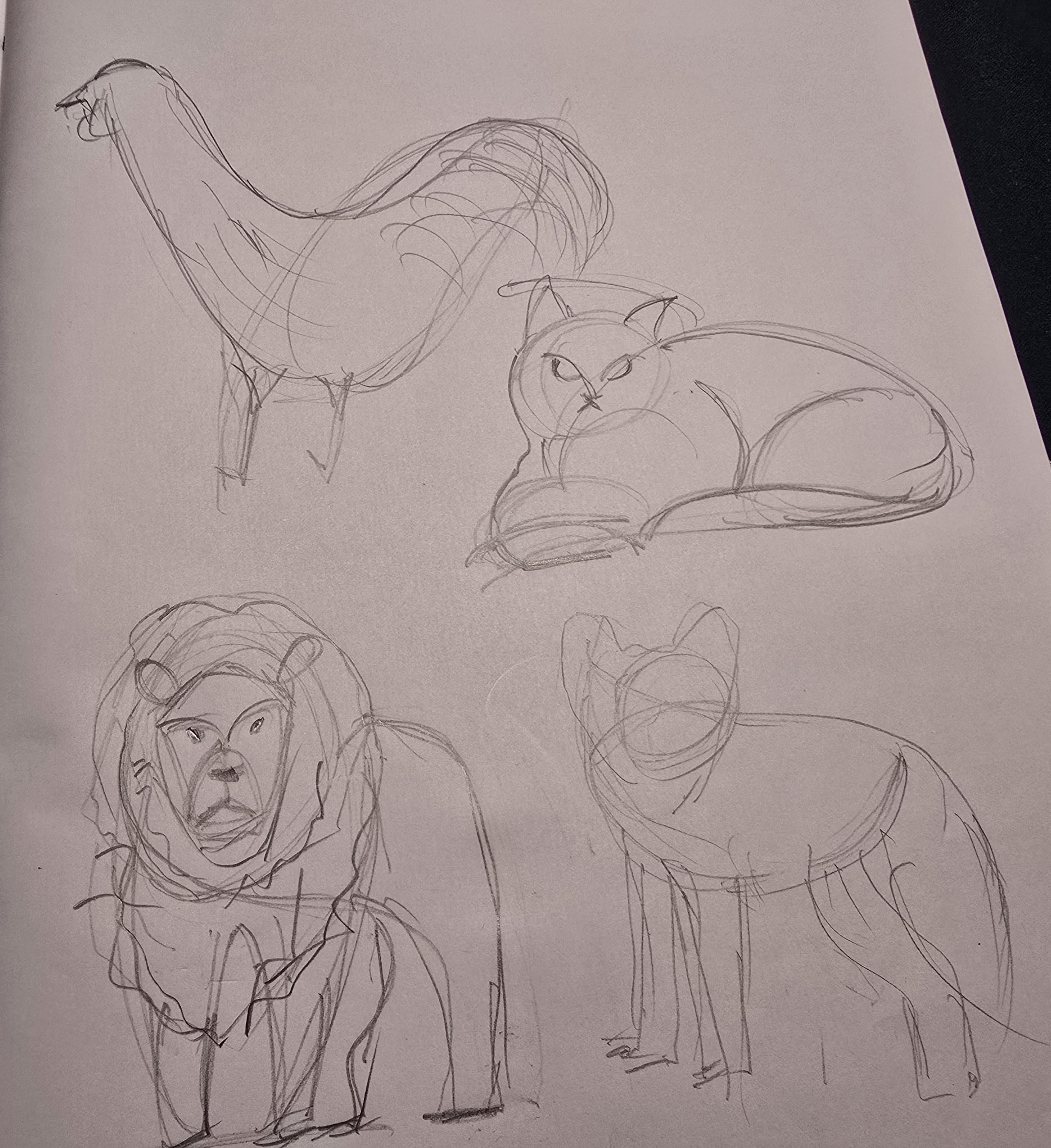more-projects-from-class-img