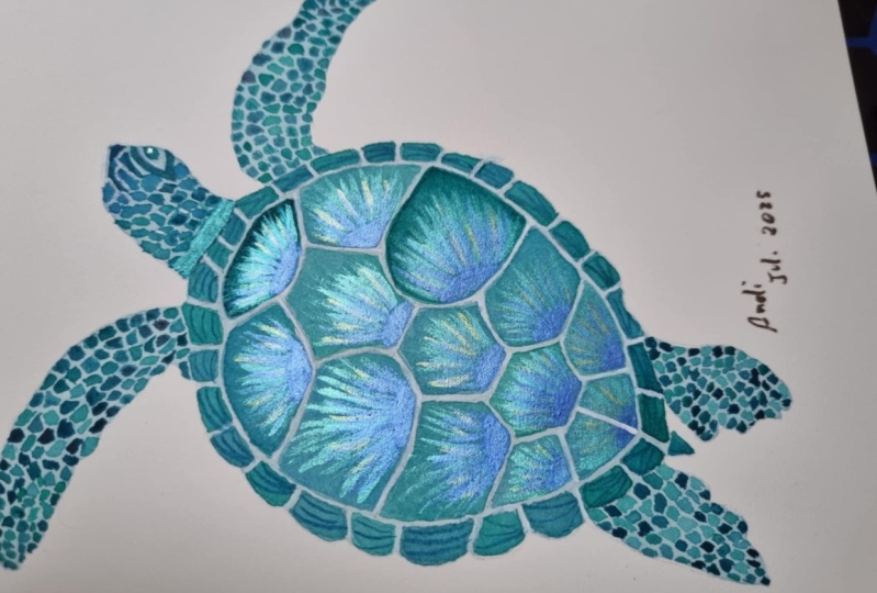 Tortuga de mar en capas