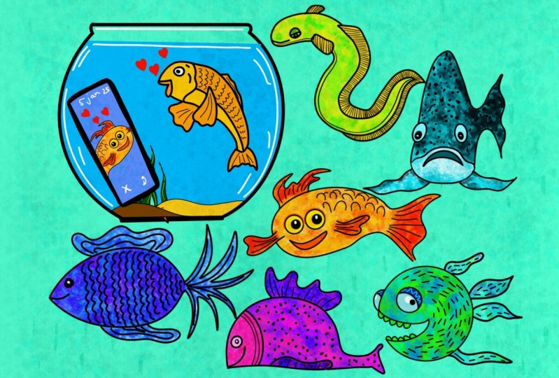 Fish, fish, fish and more fish