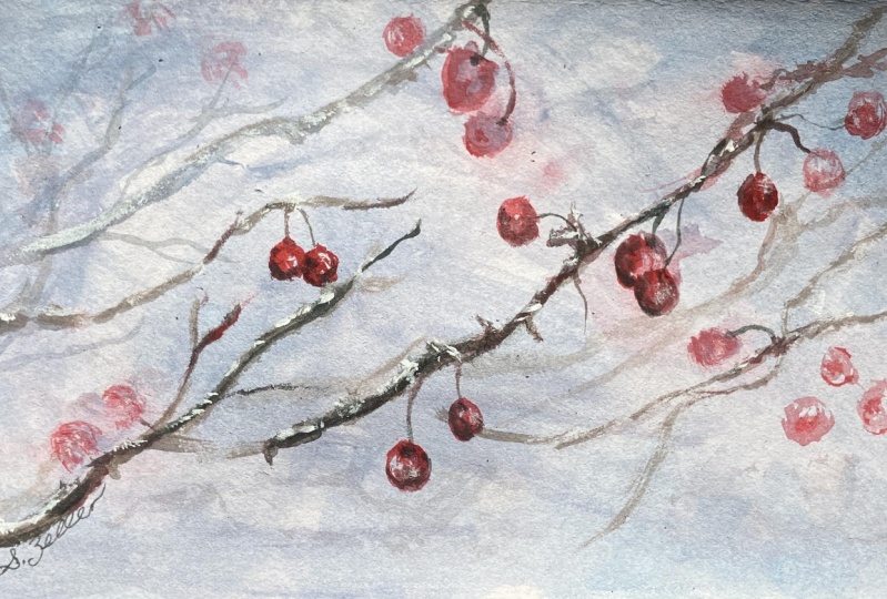 Winter Berries With Acrylics