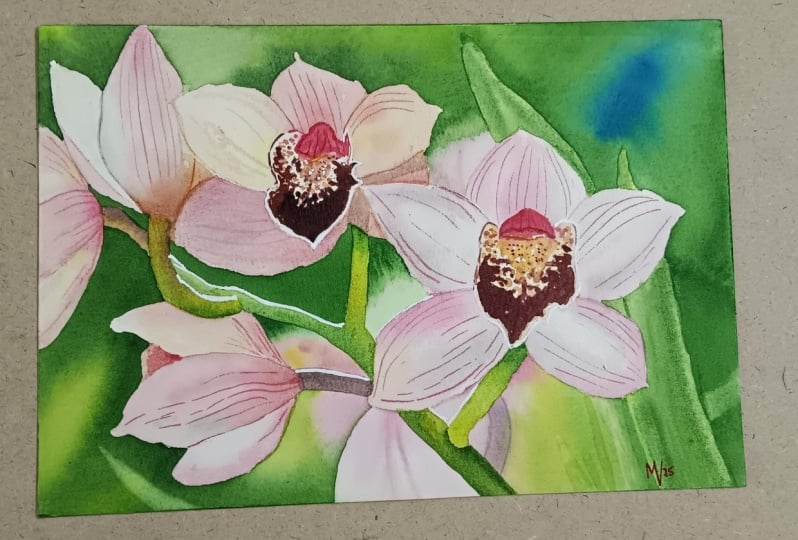 Orchids in Watercolour