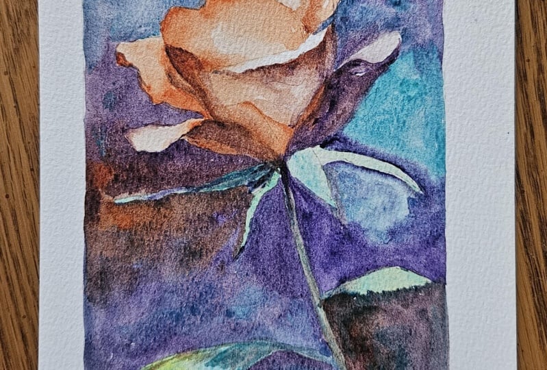 A muddy mostly orange rose