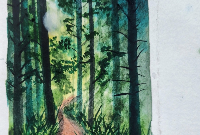 Misty green woods with Aishwarya