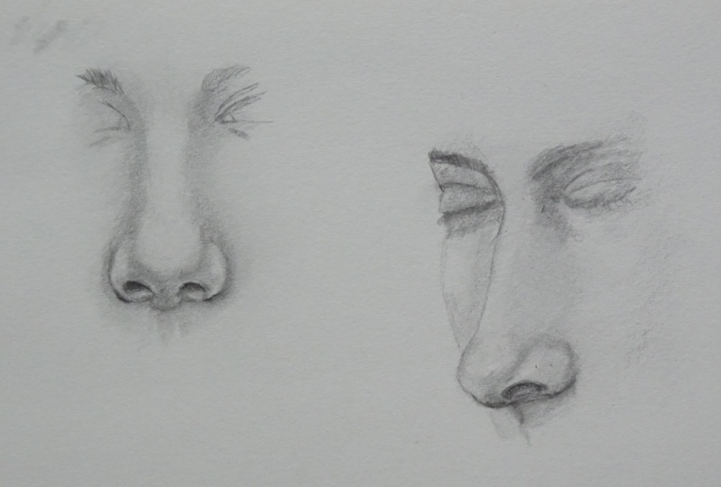 Noses