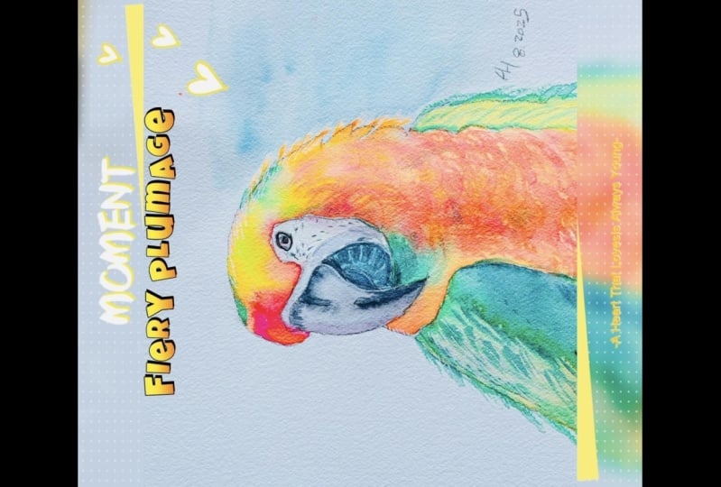 Fiery Plumage