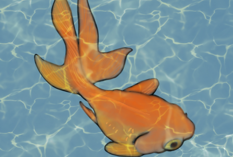 Goldfish