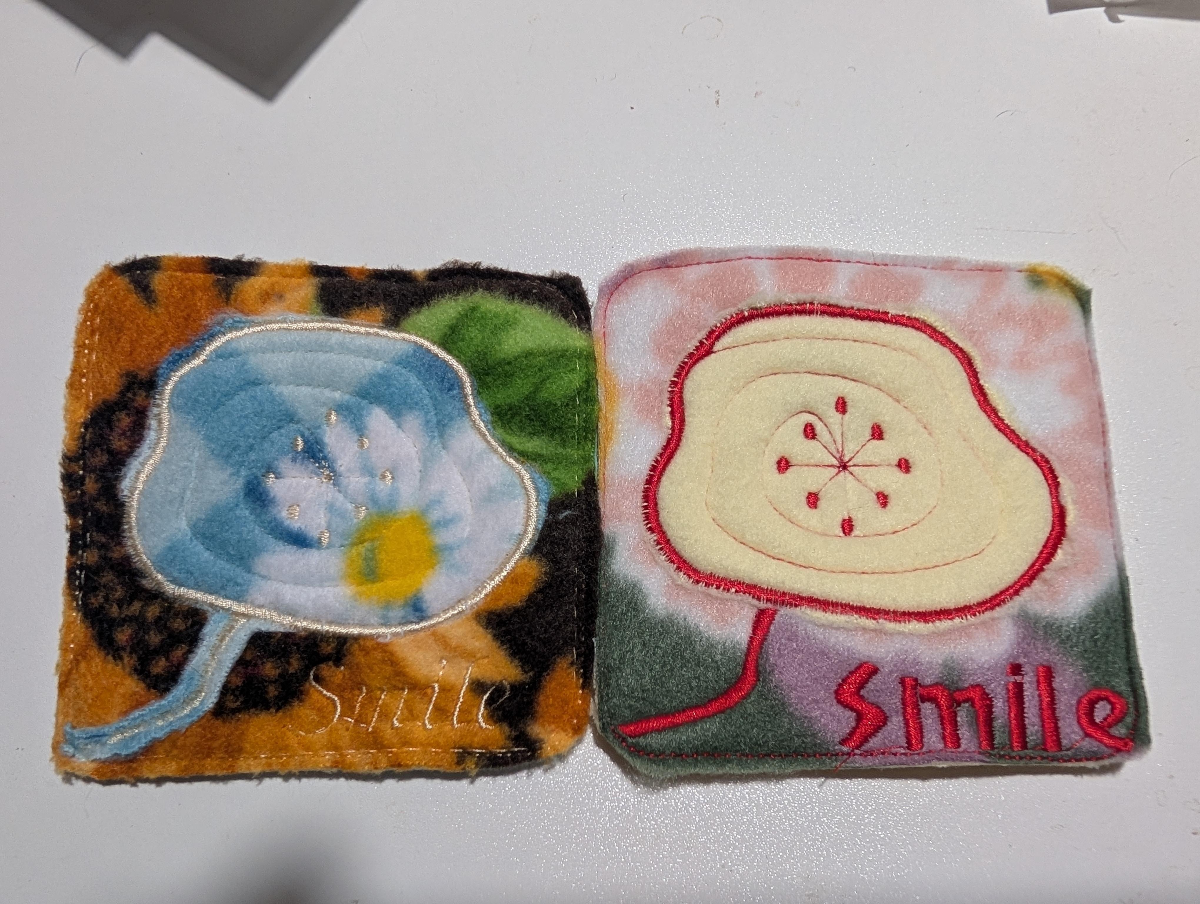 more-projects-from-class-img