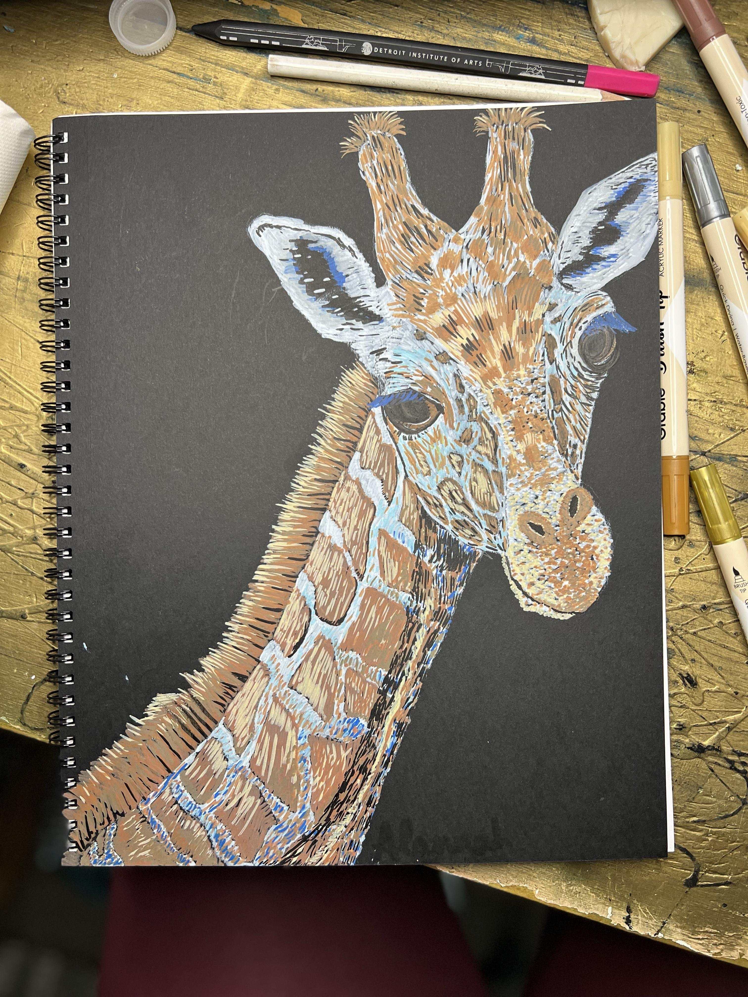 more-projects-from-class-img