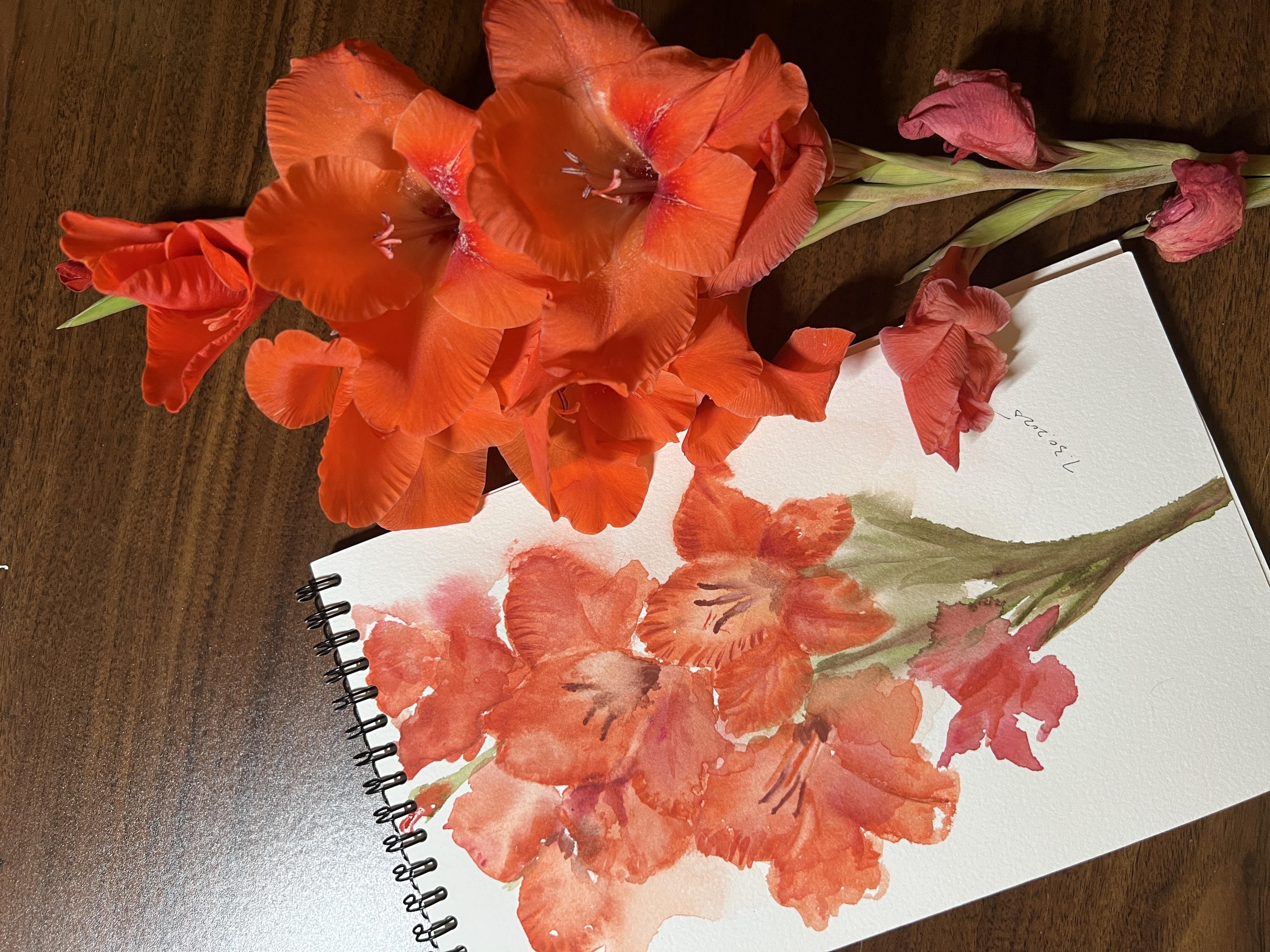 My gladiolus - student project