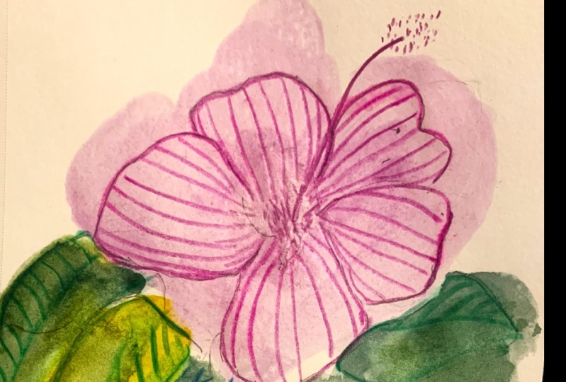 Exploring hatching