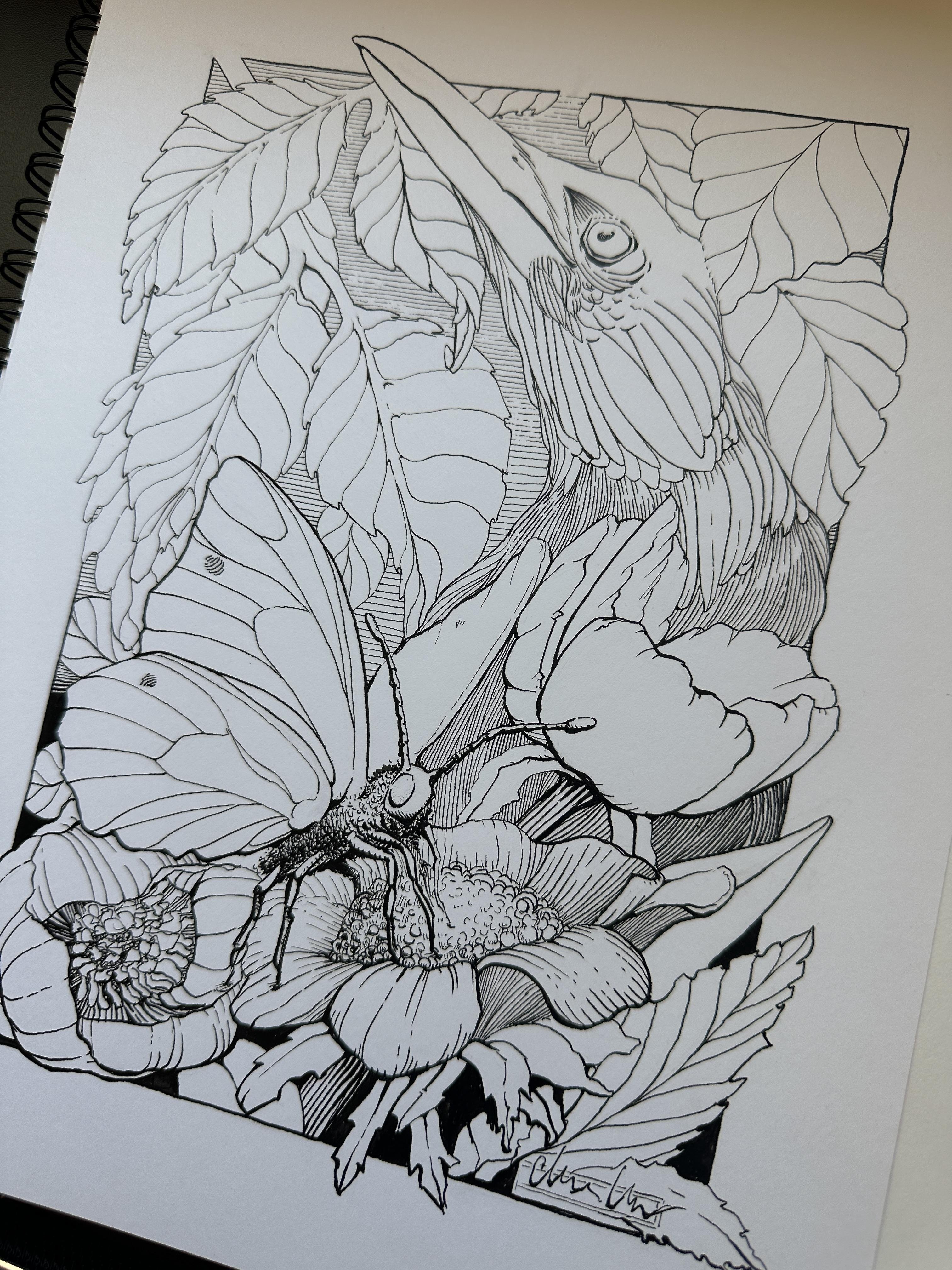 more-projects-from-class-img