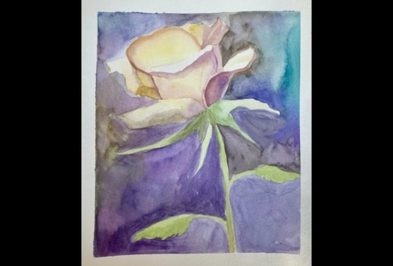 Rosa