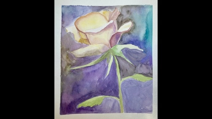 Rosa - student project