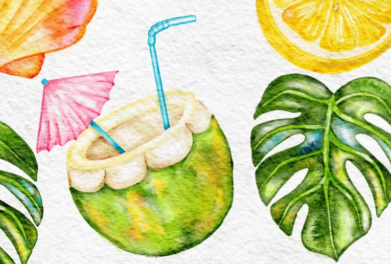 Tropical Illustrations