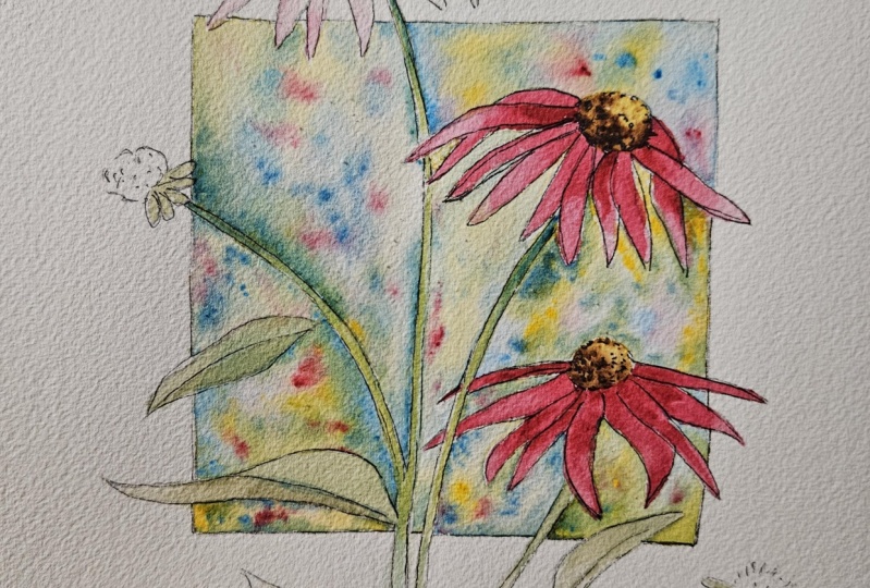 Flowers 080925