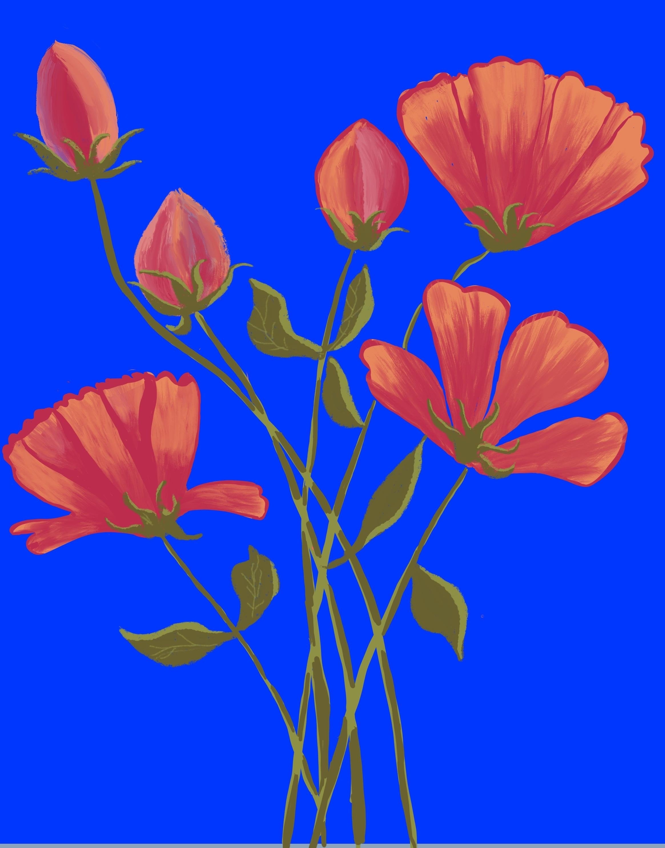 more-projects-from-class-img