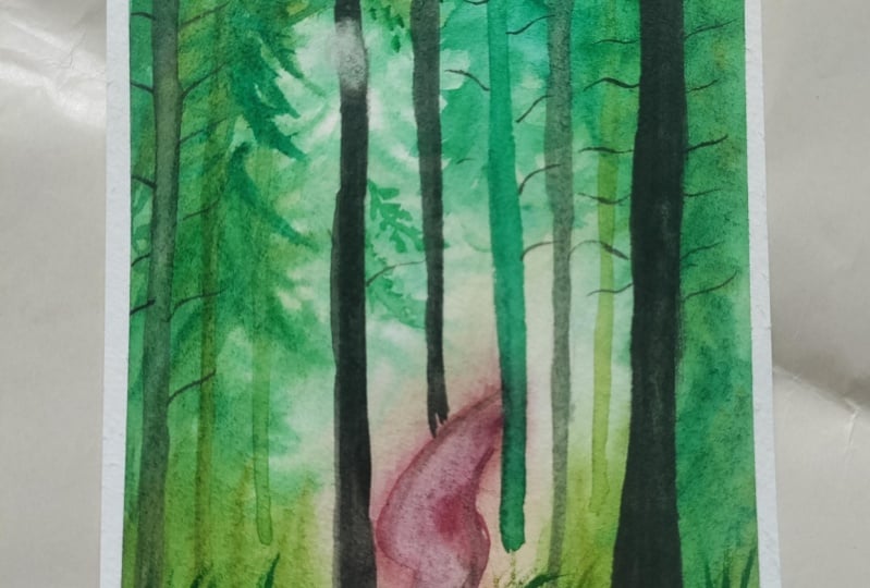 Misty forest