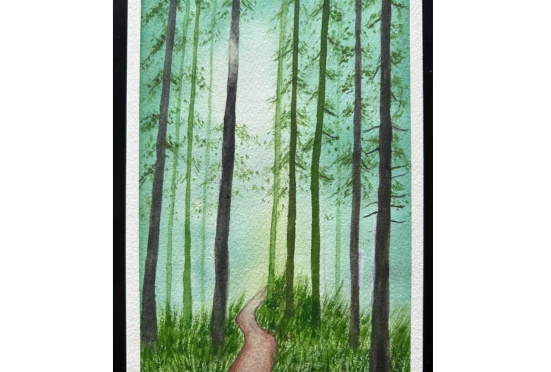 Misty green woods