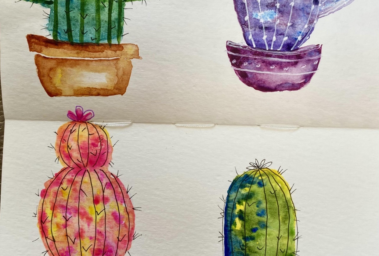 Einfache & lustige Kakteen zeichnen: 3 Farbschemata | Aima Kessy |  Skillshare
