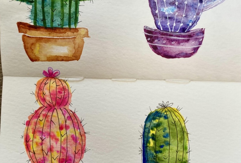 Fun Cacti