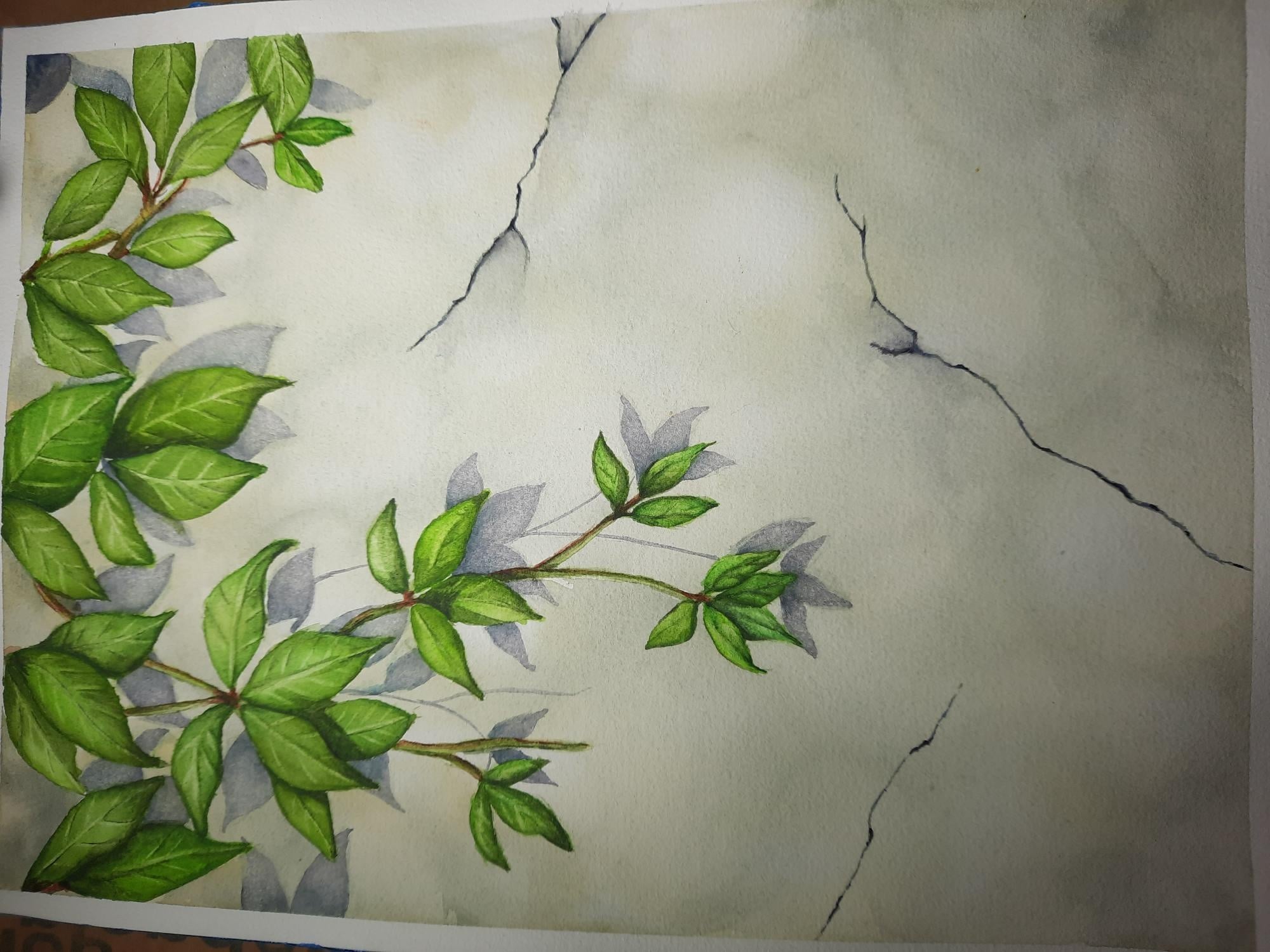 more-projects-from-class-img
