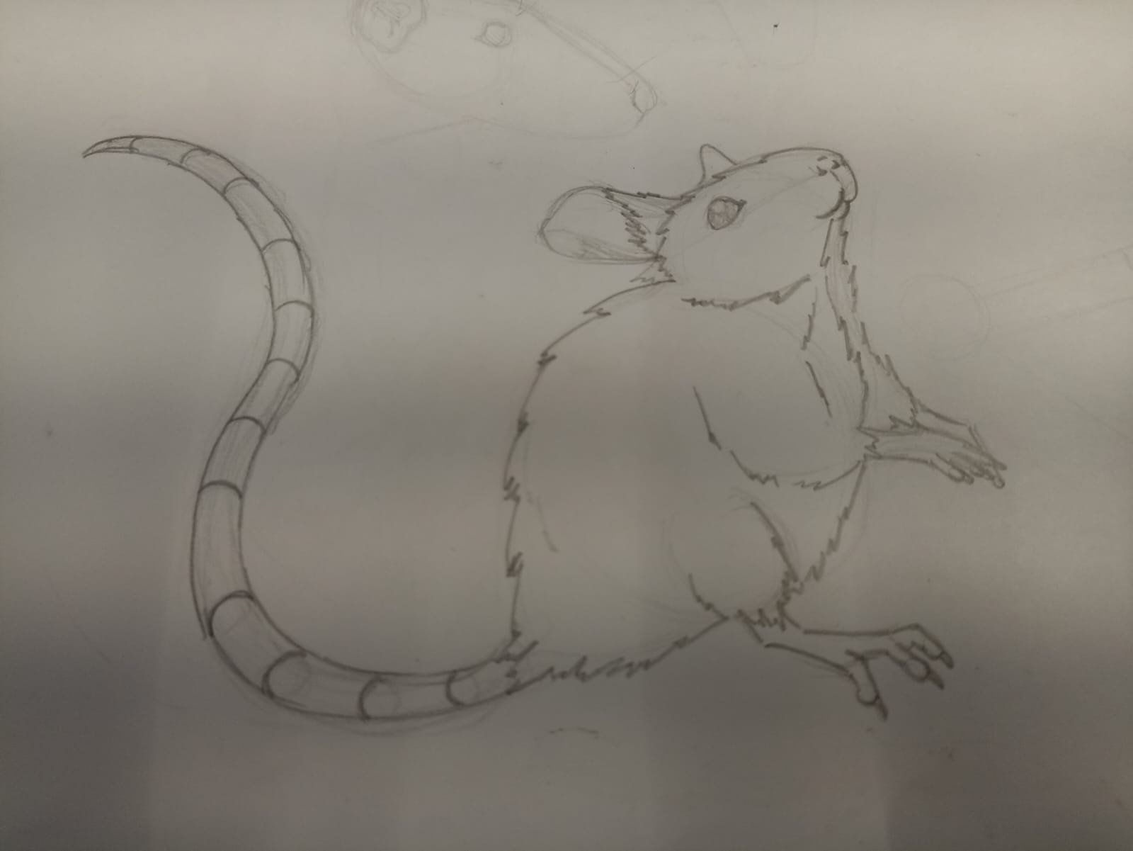 more-projects-from-class-img