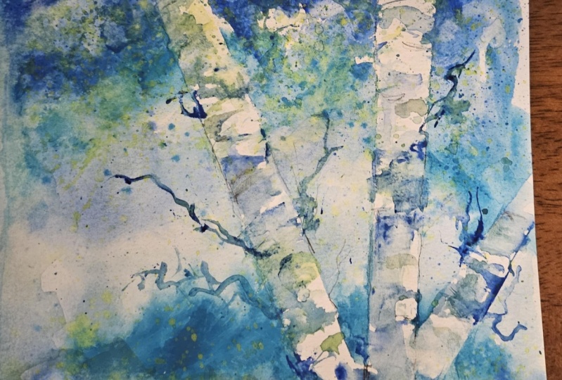 Birch Trees