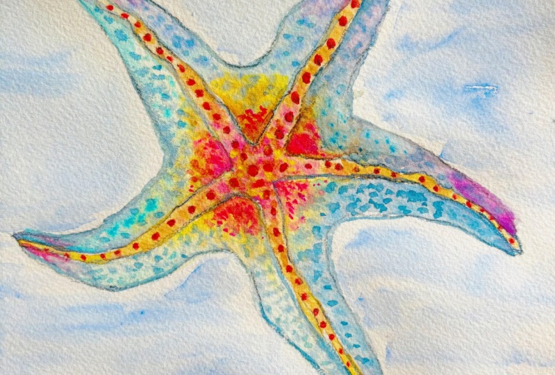 Sea Star of Many Worlds