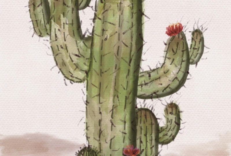 Fun Cactus Watercolor!