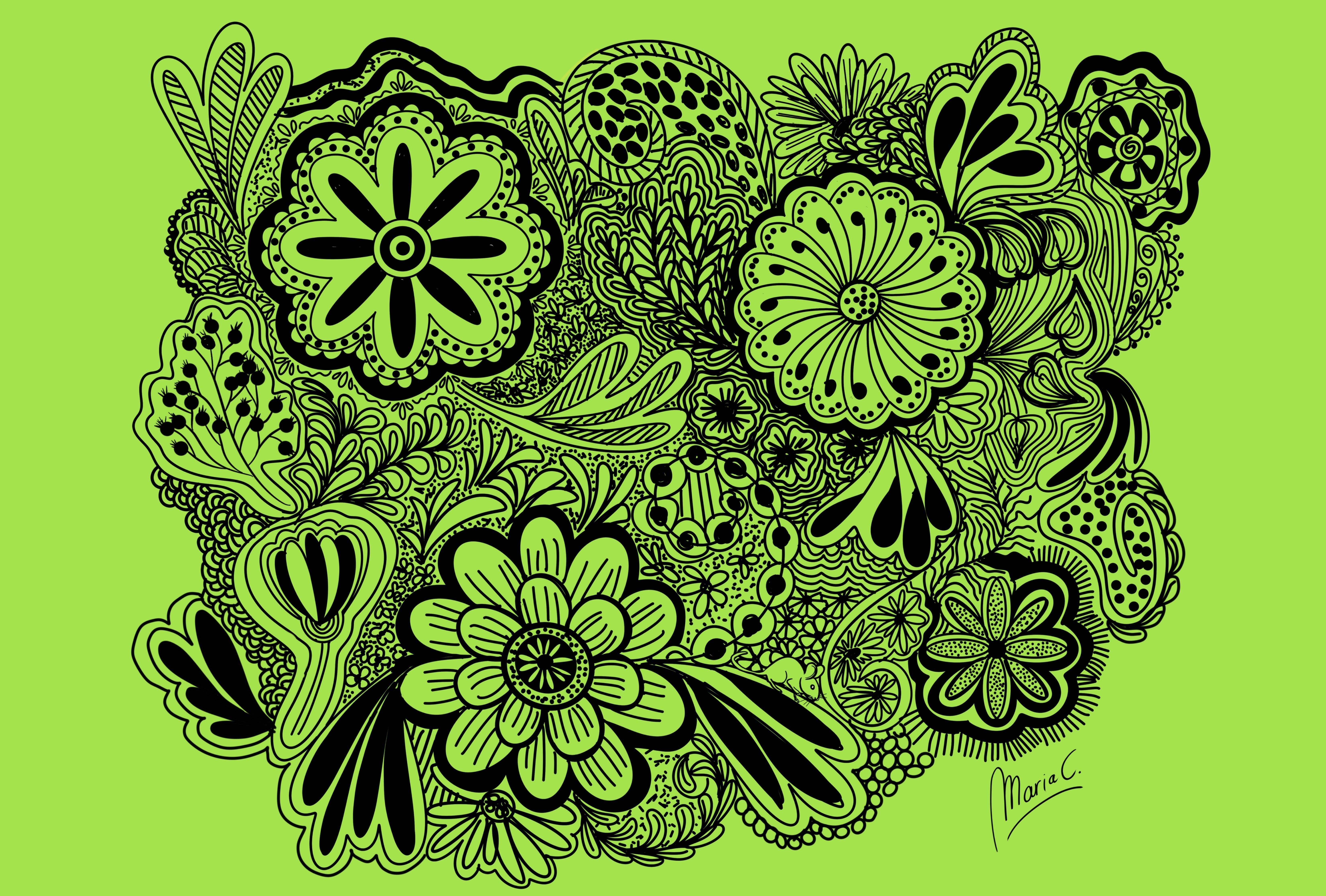 more-projects-from-class-img