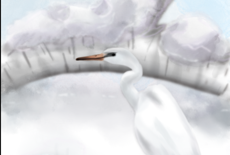 Heron in the snow