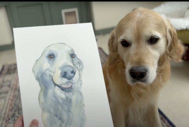 Beth Doman Pet Portraits