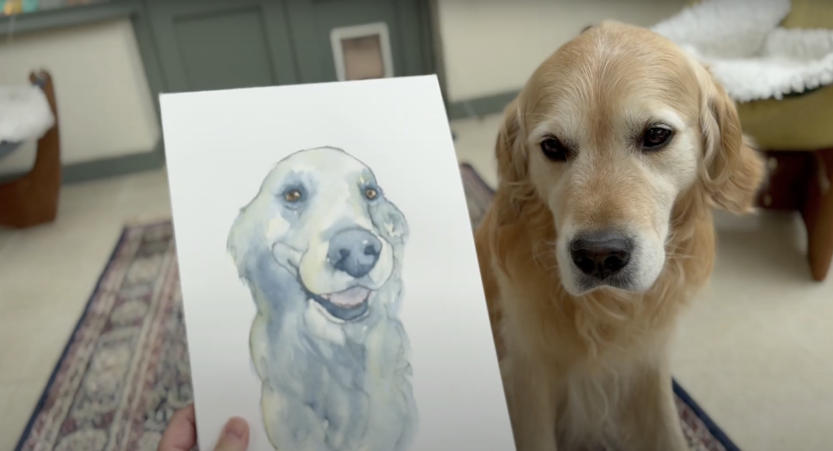 Beth Doman Pet Portraits - student project