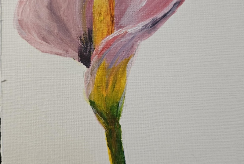 Calla lily acrylic