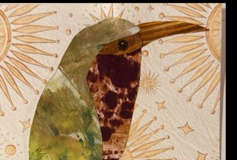 Gelli-Bird 1 & questions