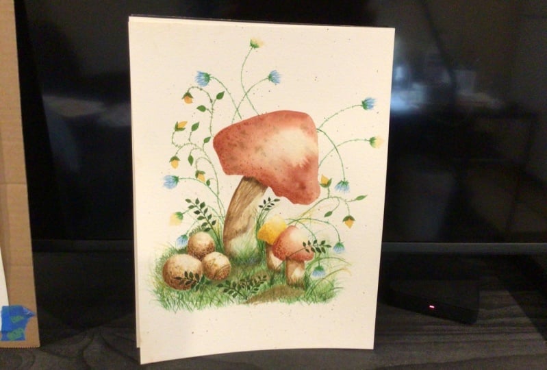 Mushrooms & Flowers