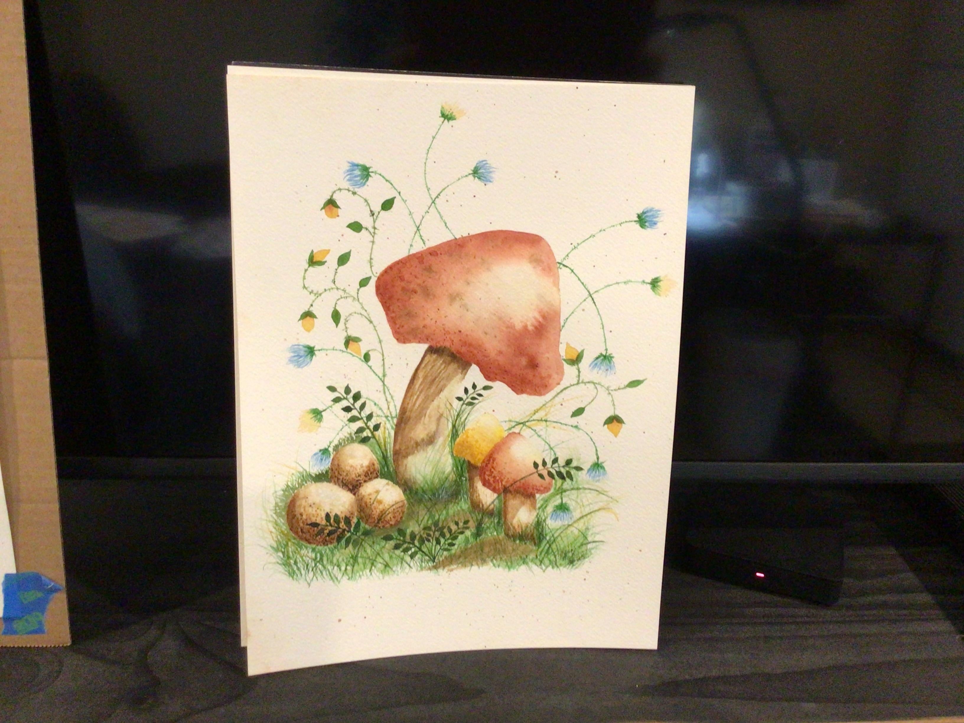 Mushrooms & Flowers - student project