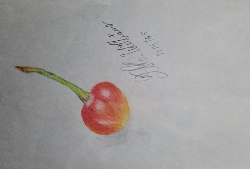 Cherry drawing with Colored Pencils