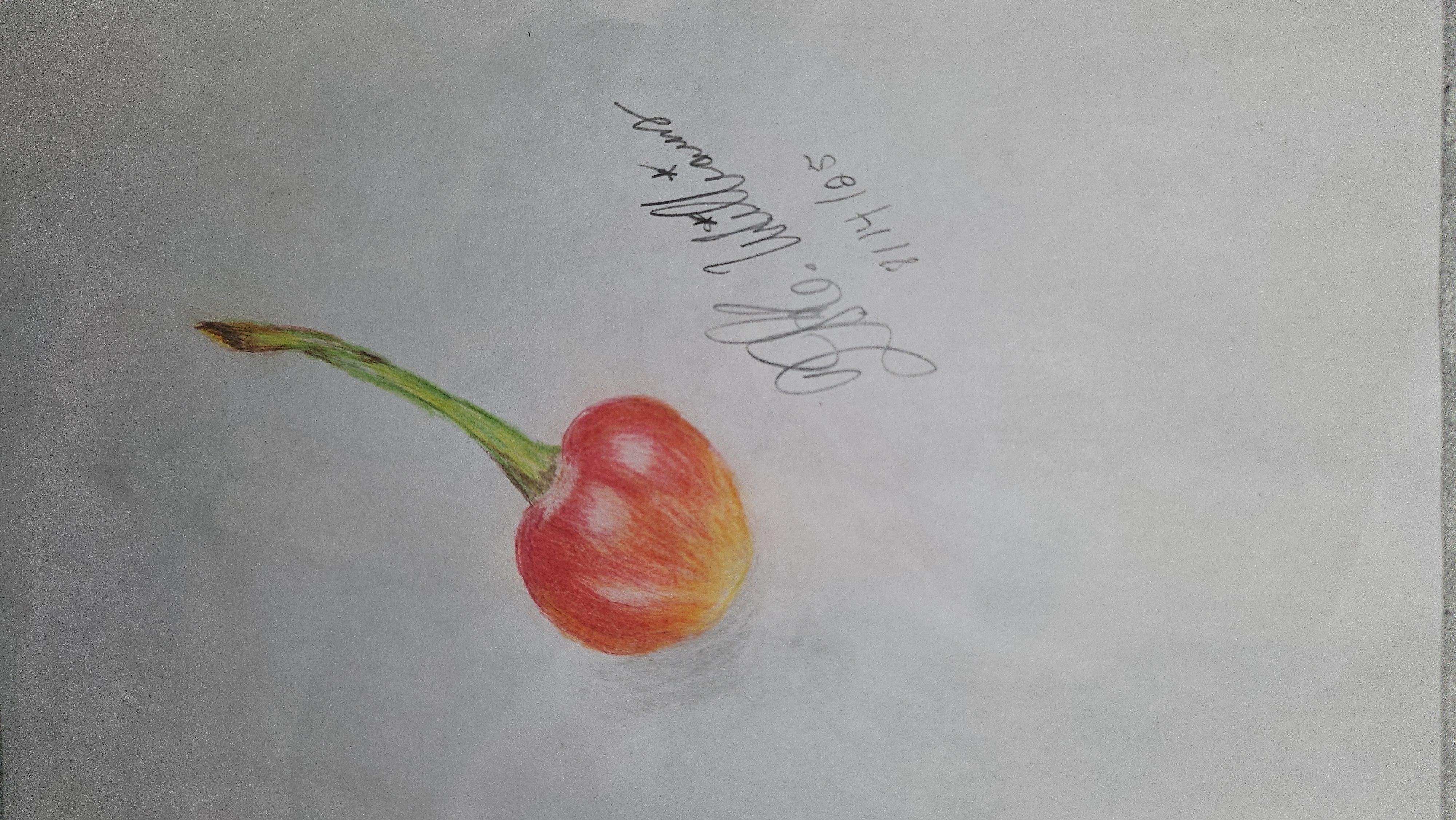 Cherry drawing with Colored Pencils - student project